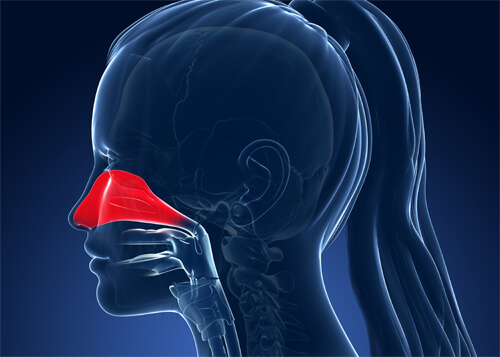 Frau hat allergische Rhinitis