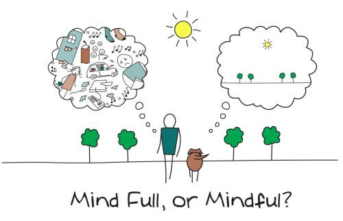 Mindfulness um Negatives in Positives zu verwandeln