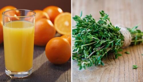 6 natürliche Antibiotika 6 natürliche Antibiotika