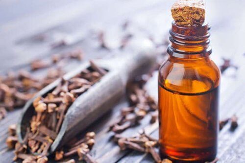 Natürliche Mittel gegen Candidose: Nelkenöl