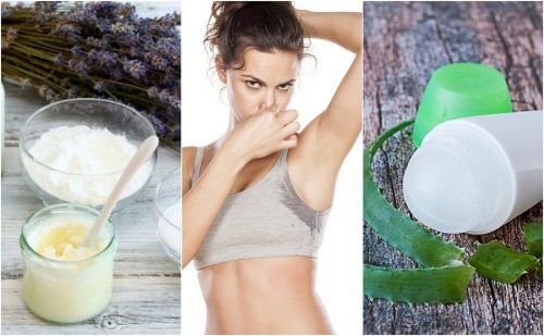 5 selbstgemachte Deodorants 5 selbstgemachte Deodorants