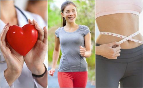 7 Gründe, warum Spaziergänge so gesund sind 7 Gründe, warum Spaziergänge so gesund sind