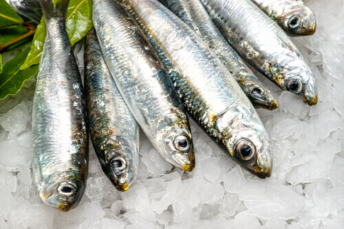 Fettverbrennende Lebensmittel sind zum Beispiel Fische.