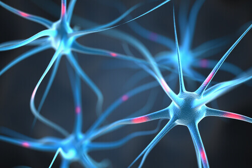 Neuronen und Wissenswertes über Fibromyalgie