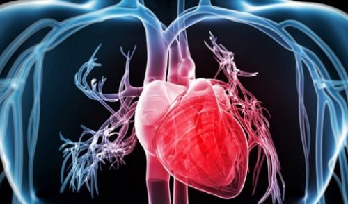 9 Tricks zur Stärkung des Herzens