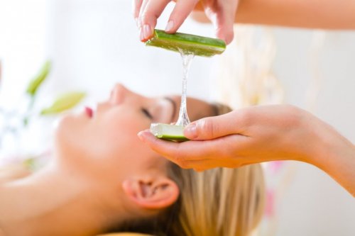 Masken für die Haarpflege mit Aloe vera