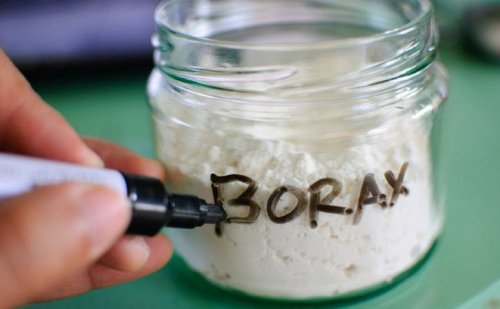 Borax und andere Tipps gegen Schimmel