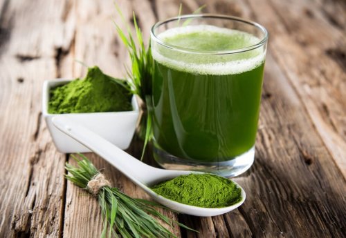 Wissenswertes über Spirulina in Smoothies