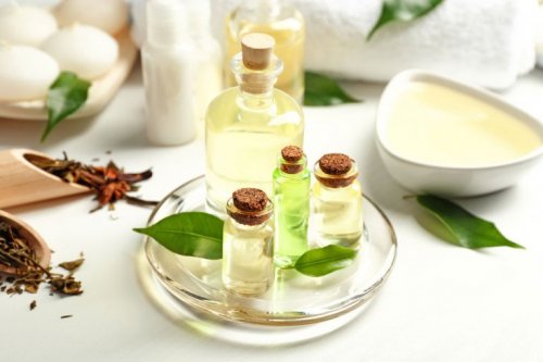 Ätherisches Teebaumöl und andere Tipps gegen Schimmel