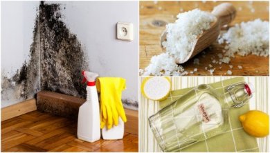 5 Tipps gegen Schimmel