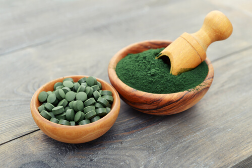 Wissenswertes über Spirulina und die gesundheitsfördernden Eigenschaften dieser Pflanze