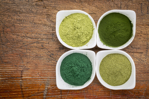 Wissenswertes über Spirulina