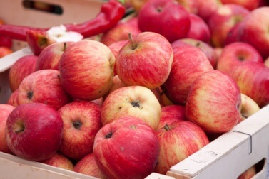 Äpfel für eine gesunde Leber