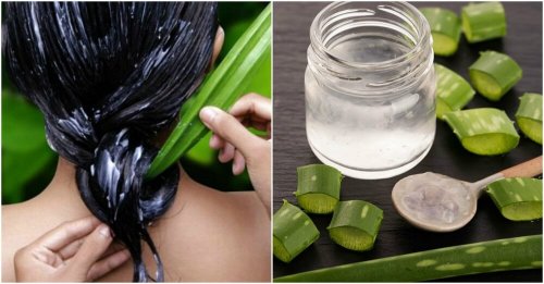 Aloe Vera für glänzendes und seidiges Haar