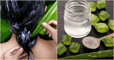 Aloe vera in der Haarpflege