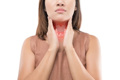 Physiologie der Schilddrüse und Abgabe der Schilddrüsenhormone