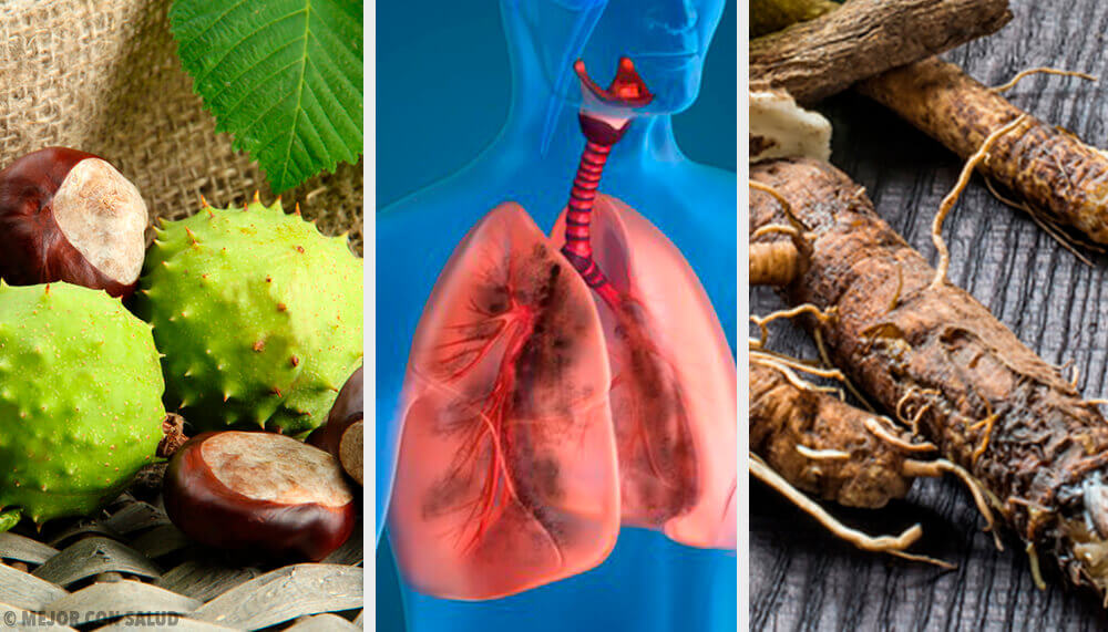 4 Hausmittel zur Stärkung der Lunge