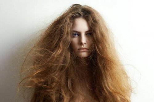 5 natürliche Mittel gegen trockenes Haar