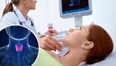 Die Physiologie der Schilddrüse