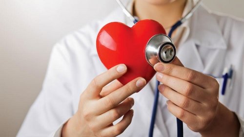Grüner Apfel schützt die Herz-Gefäß-Gesundheit