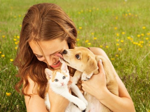 Hunde und Katzen: die besten Haustiere für die Gesundheit