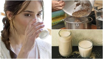 Gesundheitsfördernde Kanariengras-Milch selbst herstellen