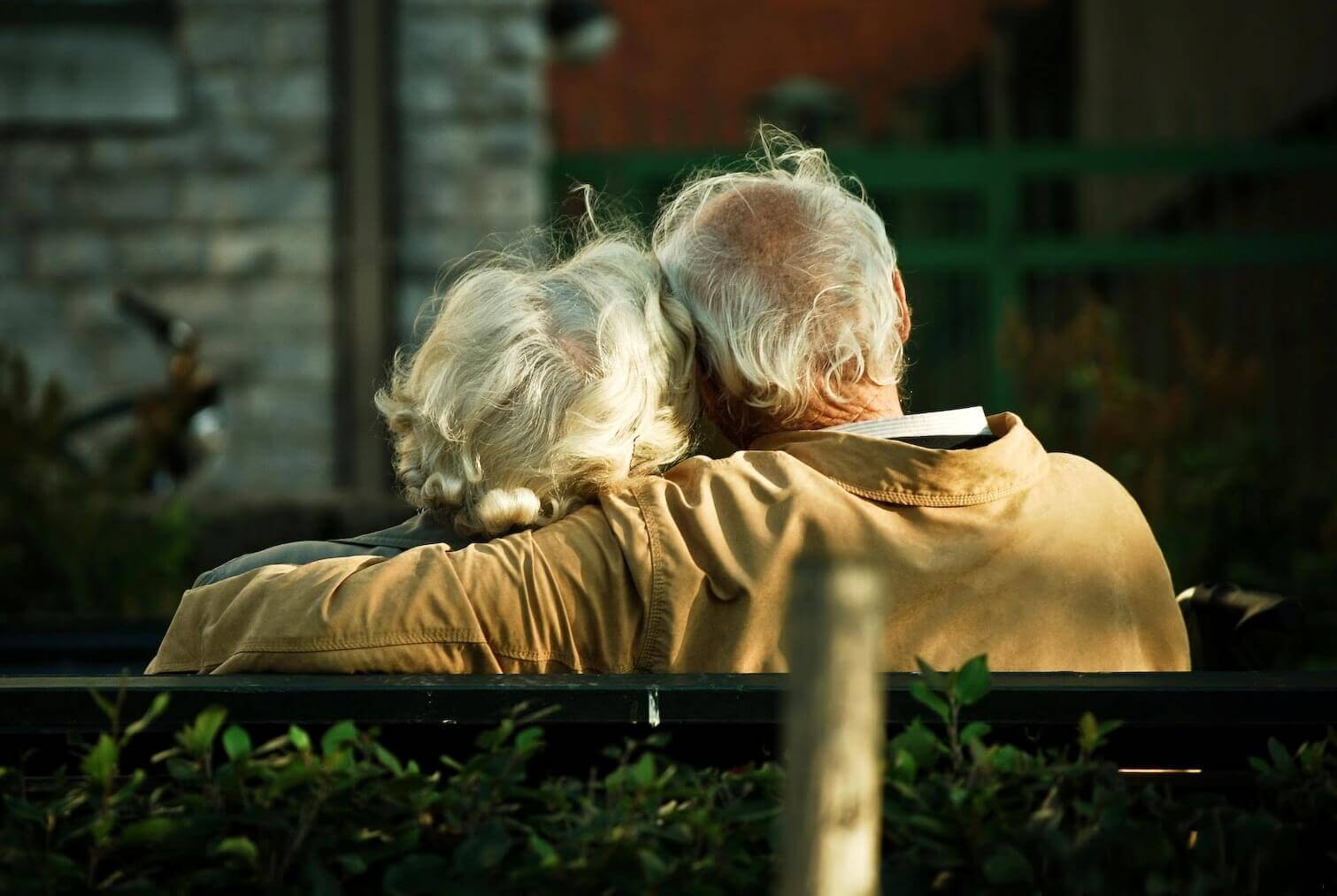 MIND Diät zur Vorsorge gegen Alzheimer MIND Diät zur Vorsorge gegen Alzheimer