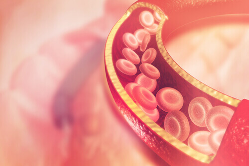 Omega 3 ist gesund für die Arterien