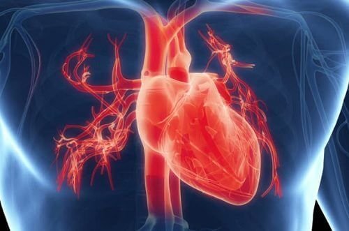 Gebrochenes-Herz-Syndrom - 5 Dinge die du noch nicht wusstest - kurzzeitige Krankheit