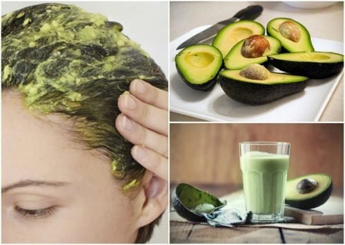 6 großartige Naturheilmittel mit Avocado