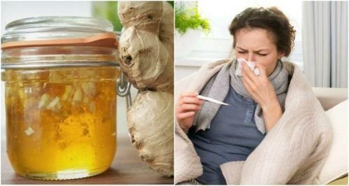 Bekämpfe Erkältungen mit selbstgemachtem Honig-Ingwer-Sirup