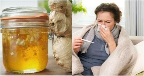 Bekämpfe Erkältungen mit selbstgemachtem Honig-Ingwer-Sirup