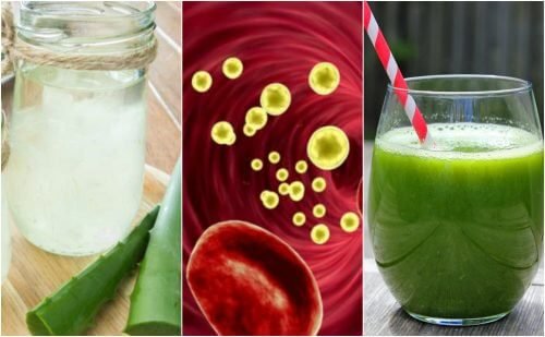 5 medizinische Getränke, die deinen Blutkreislauf reinigen