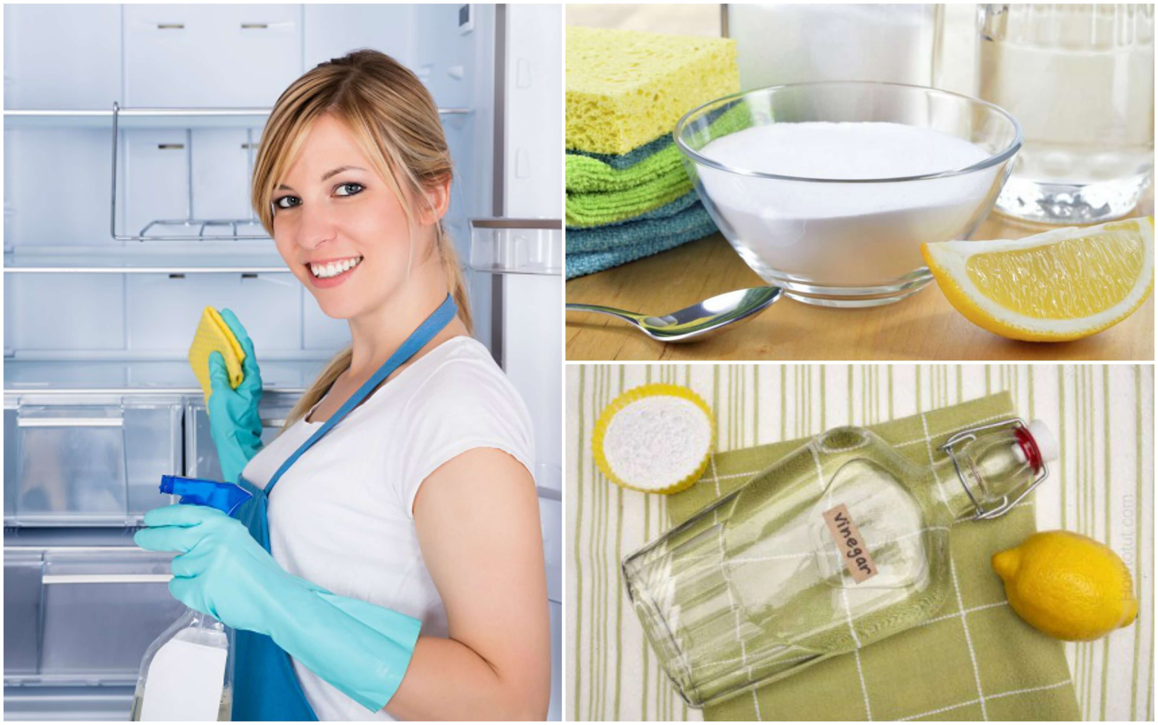 Reinigung und Desinfektion des Kühlschranks mit 5 Hausmitteln