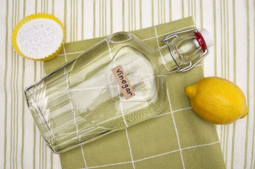 Desinfektion des Kühlschranks mit Essig und Zitrone