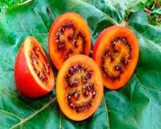 4 seltsame und exotische Obst- und Gemüsesorten, die nur wenige kennen