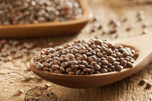 5 Fette, die den Cholesterinspiegel senken Linsen