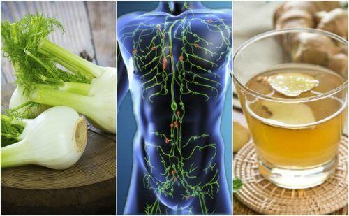 Diese 6 natürliche Tees sind gut für das Lymphsystem