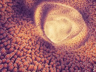 9 Symptome, die auf eine Infektion mit Parasiten hinweisen