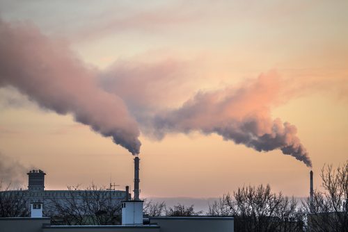 Die Umwelt kann trockenes und beschädigtes Haar beeinflussen.