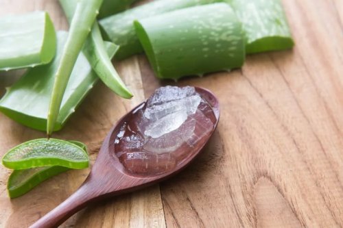 Hausmittel mit Aloe vera gegen Krampfadern