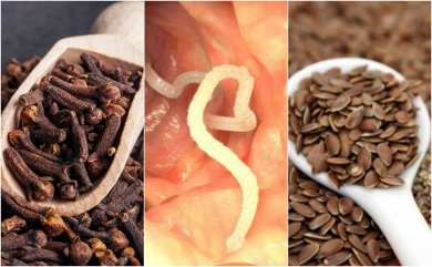 Darmparasiten loswerden mit Gewürznelken und Leinsamen