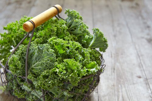 Kohl für gesunde Nieren