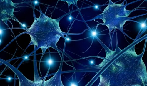 Täglich Pistazien essen und neurodegenerativen Krankheiten vorbeugen