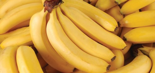 Kochbanane oder Dessertbanane?