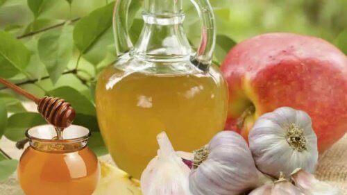 Die vielen gesundheitlichen Vorteile von Knoblauch und Honig Die vielen gesundheitlichen Vorteile von Knoblauch und Honig