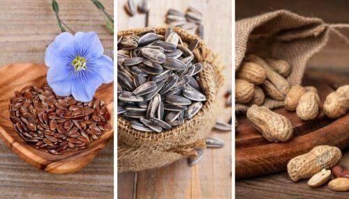 5 essbare Samen und ihre Eigenschaften