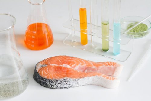 6 Fischarten, die du lieber nicht essen solltest
