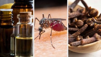 10 Düfte, die Mücken vertreiben