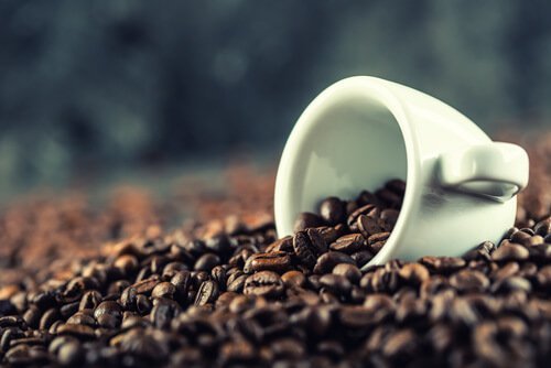 Was eine kleine Tasse Kaffe kann - Wissenswertes über Kaffee.